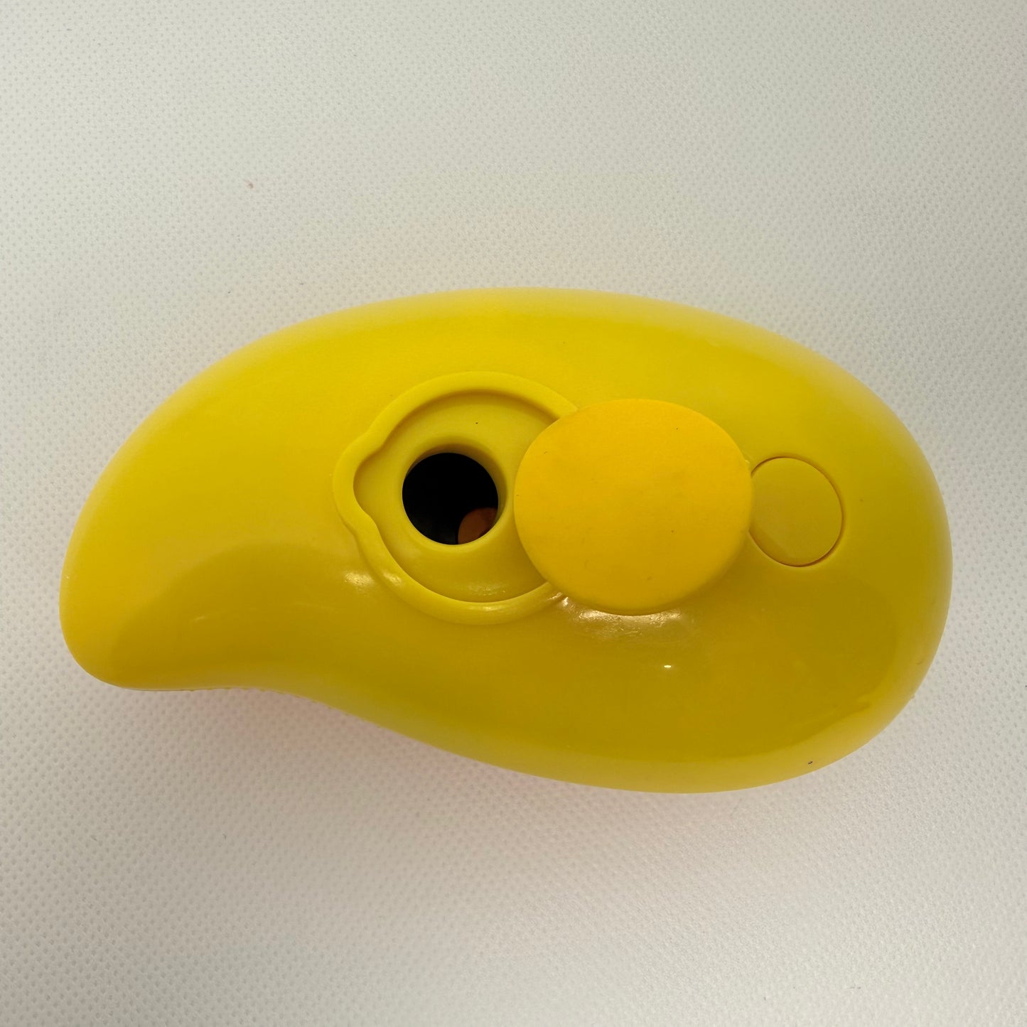 Steamy Brush for Cats – Mist Spray Grooming & Deshedding Tool