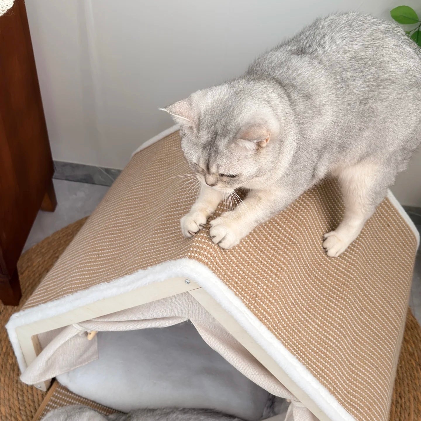 Solid Wood Cat House – Built‑in Sisal Scratch Board for Healthy Claws